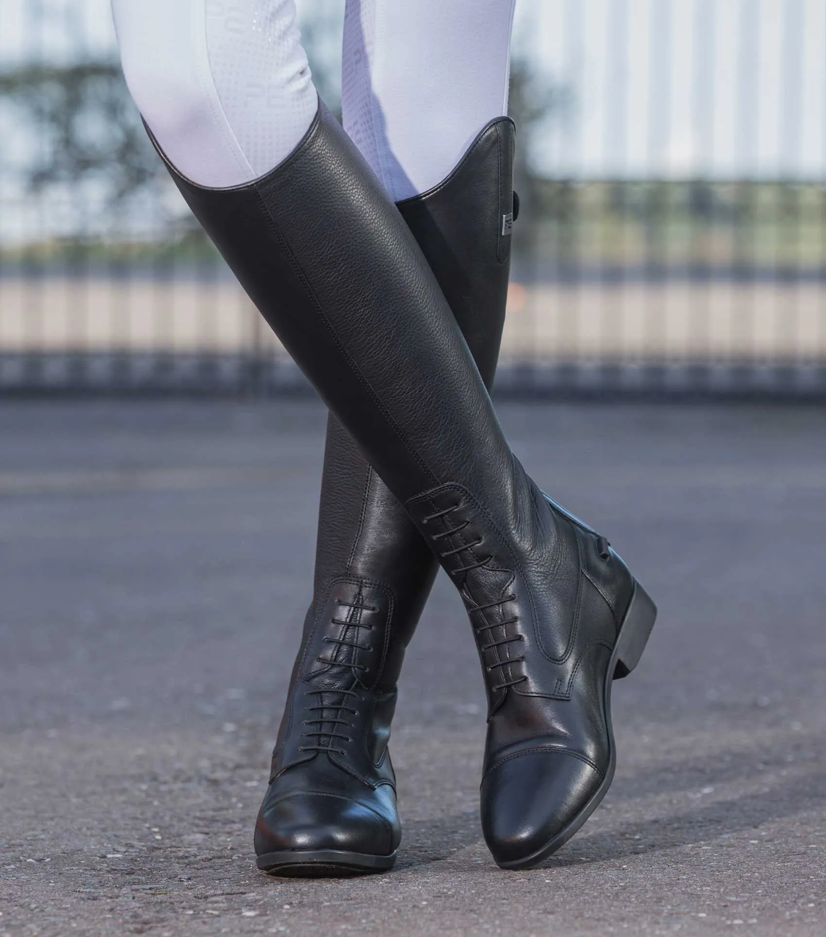 Calanthe Ladies Leather Field Tall Riding Boot Black (Regular Calf)